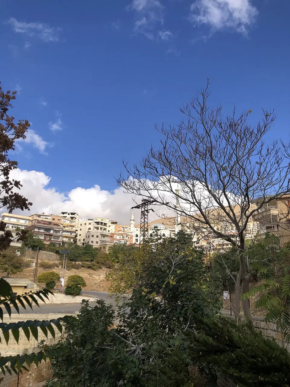 مورا غاردنز