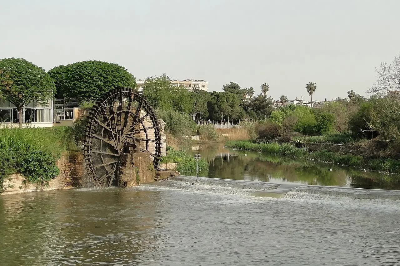 ضفاف العاصي