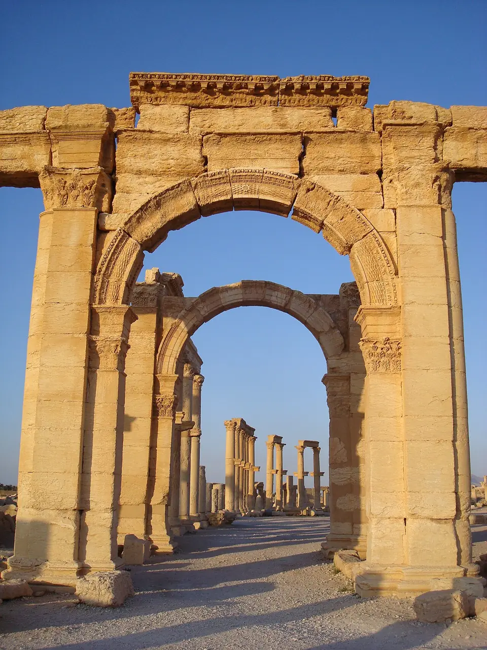 بساتين النخيل