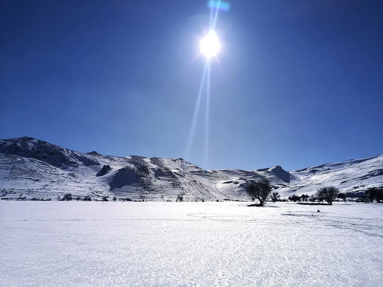 جبل الشيخ
