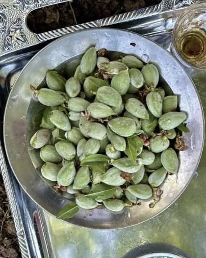 أخضر الجبل: زيتون ولوز وأعمدة