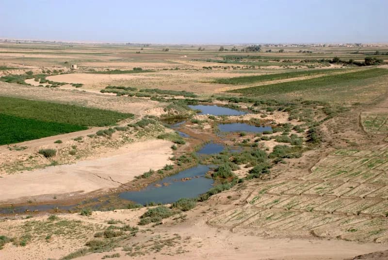 الحسكة
