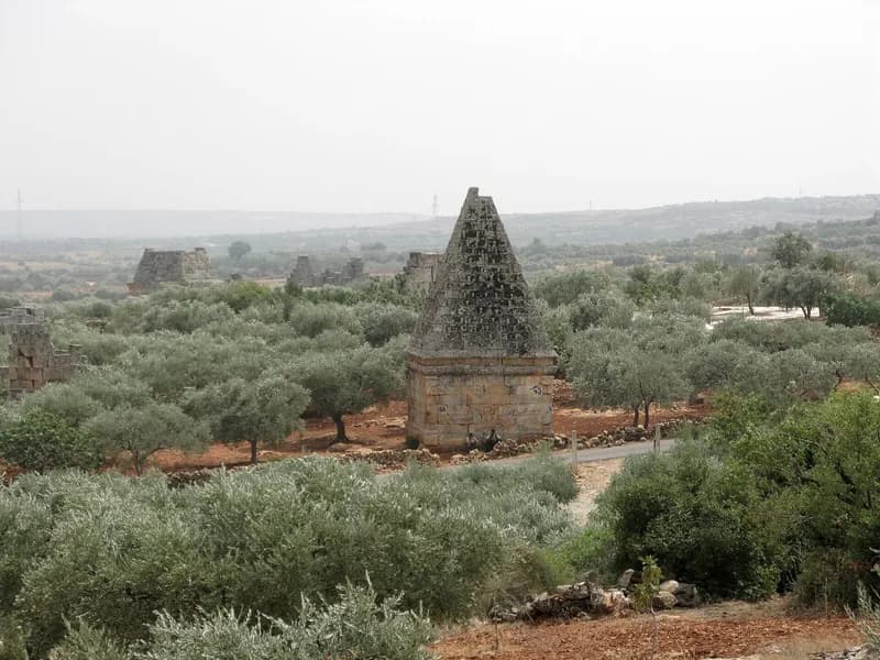 البارة