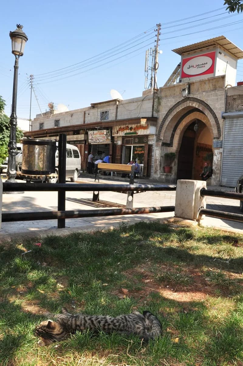 حي الجديدة