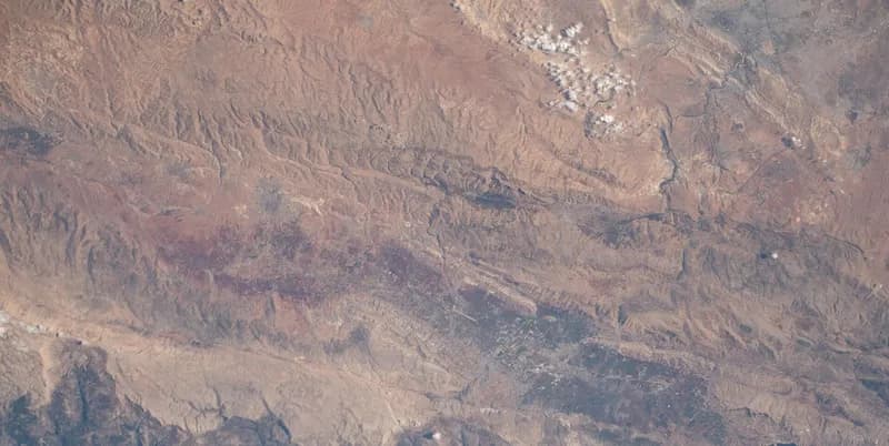 الزبداني
